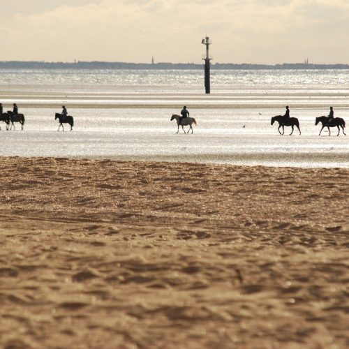 Deauville balade cheval-min