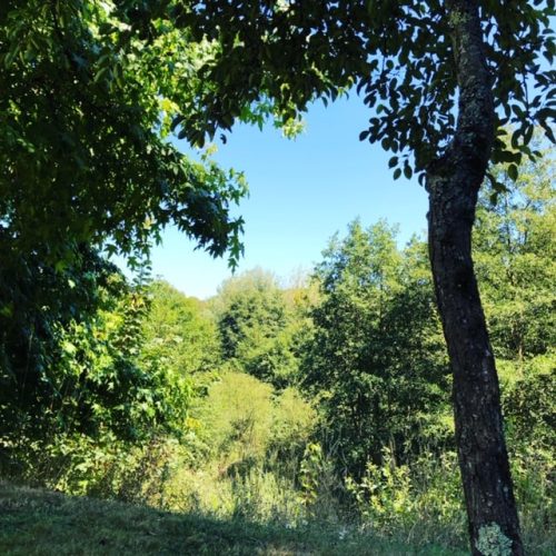 autour_Genneville-min