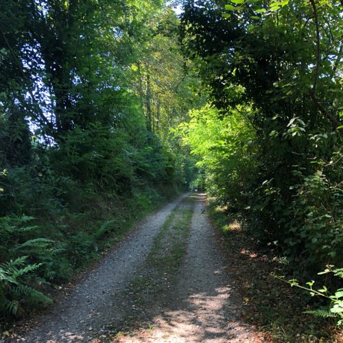 chemin pour arriver a la maison-min