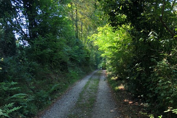 chemin pour arriver a la maison-min