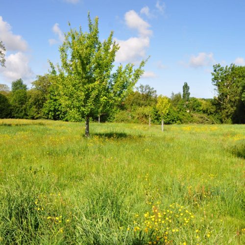 photo_terrain6