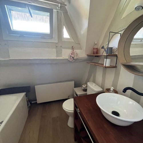 Salle de bain 1er